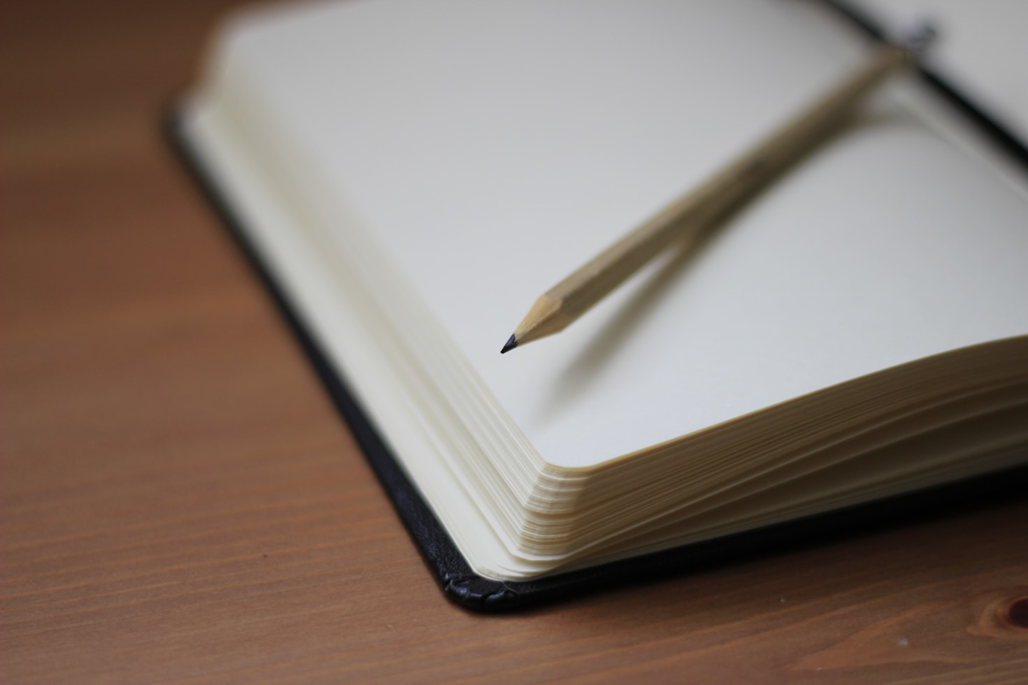 Reflections on Navigating the Human Experience